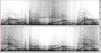Figure 8. Spectrogram of Audio example 27. Notice the amplitudes of the upper frequencies: at the beginning and the end of the file, they are greater in the right channel; in the middle of the file, they are greater in the left.