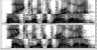Figure 7. Spectrogram of “thank you mister president” showing the different timings of frequencies above and below 1200 Hz. Here the low frequencies arrive 60 ms. earlier on the left channel and the high frequencies 60 ms. earlier on the right channel.