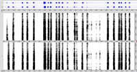 Figure 14. Waveform and sonogram an excerpt from Audio example 33. In this passage the sound is sometimes one, sometimes two, emerging from various rapidly-shifting positions.