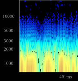 Figure 11